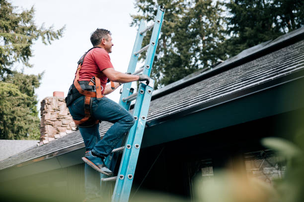 Best Gutter Installation and Repair  in USA